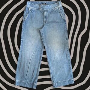 Express Light Blue Wide Leg Jeans